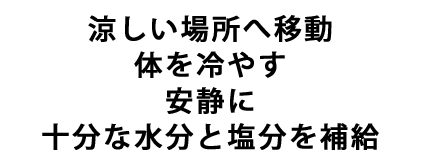 涼しい場所へ移動体を冷やす安静に十分な水分と塩分を補給