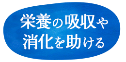 栄養の吸収や消化を助ける