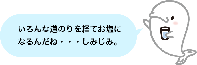 いろんな道のりを経てお塩になるんだね・・・しみじみ。