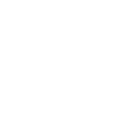 形