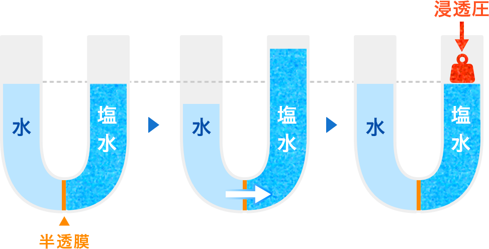 浸透圧とは？