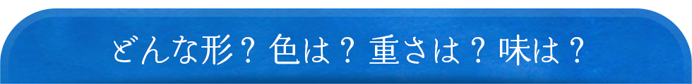 どんな形？ 色は？ 重さは？ 味は？